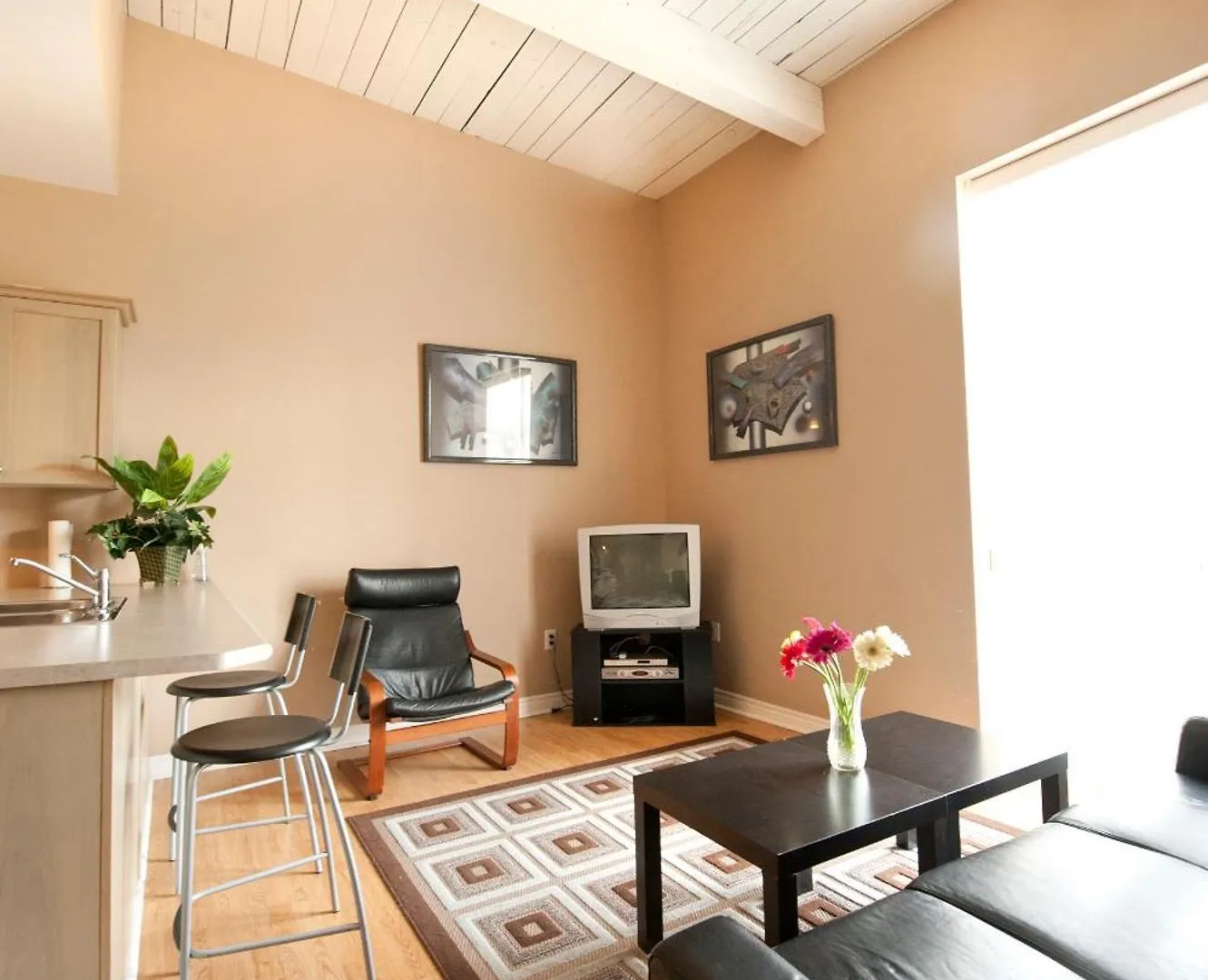 Superior Apartment Niagara Falls